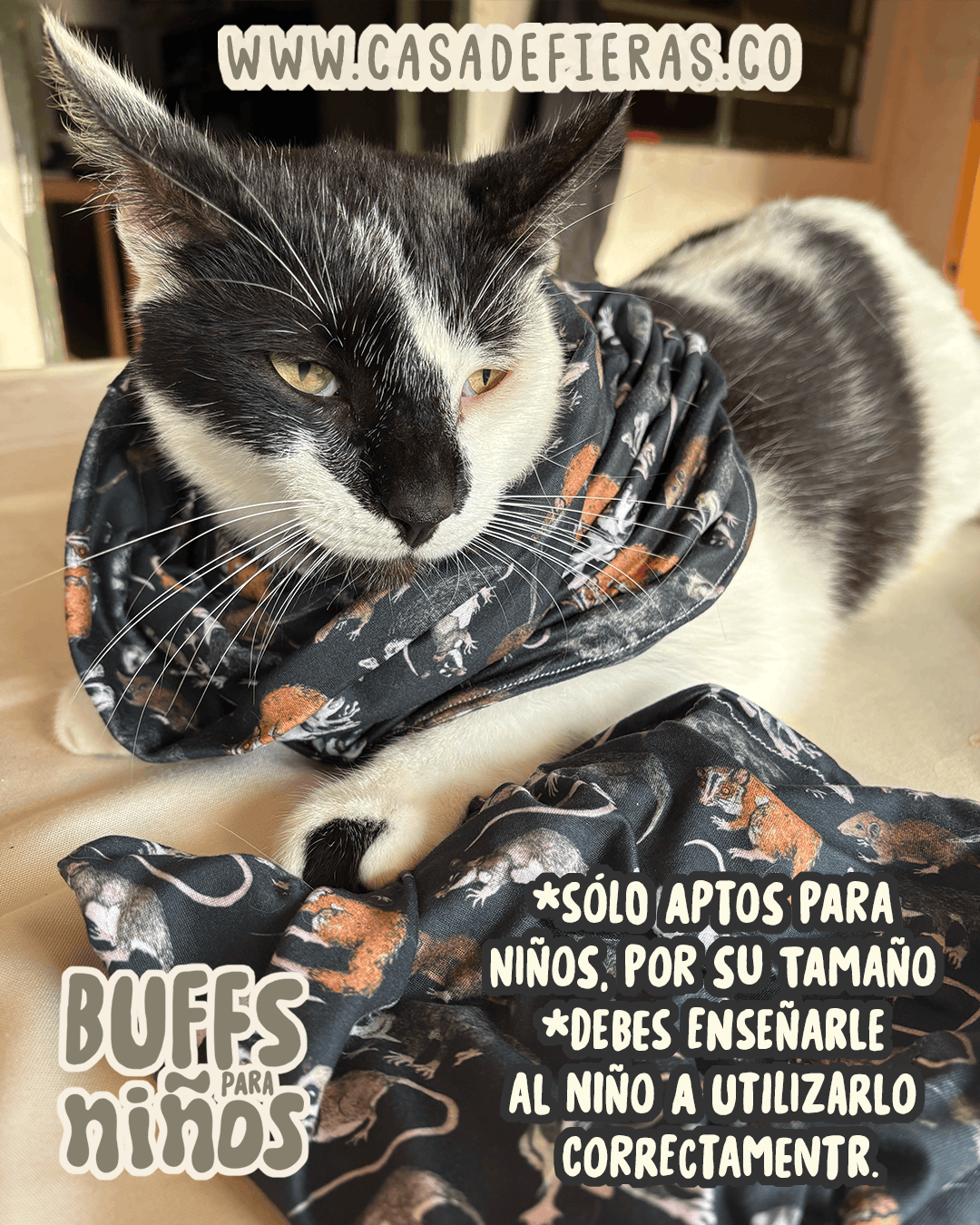Buff para niños EDICIÓN LIMITADA | Casa de Fieras
