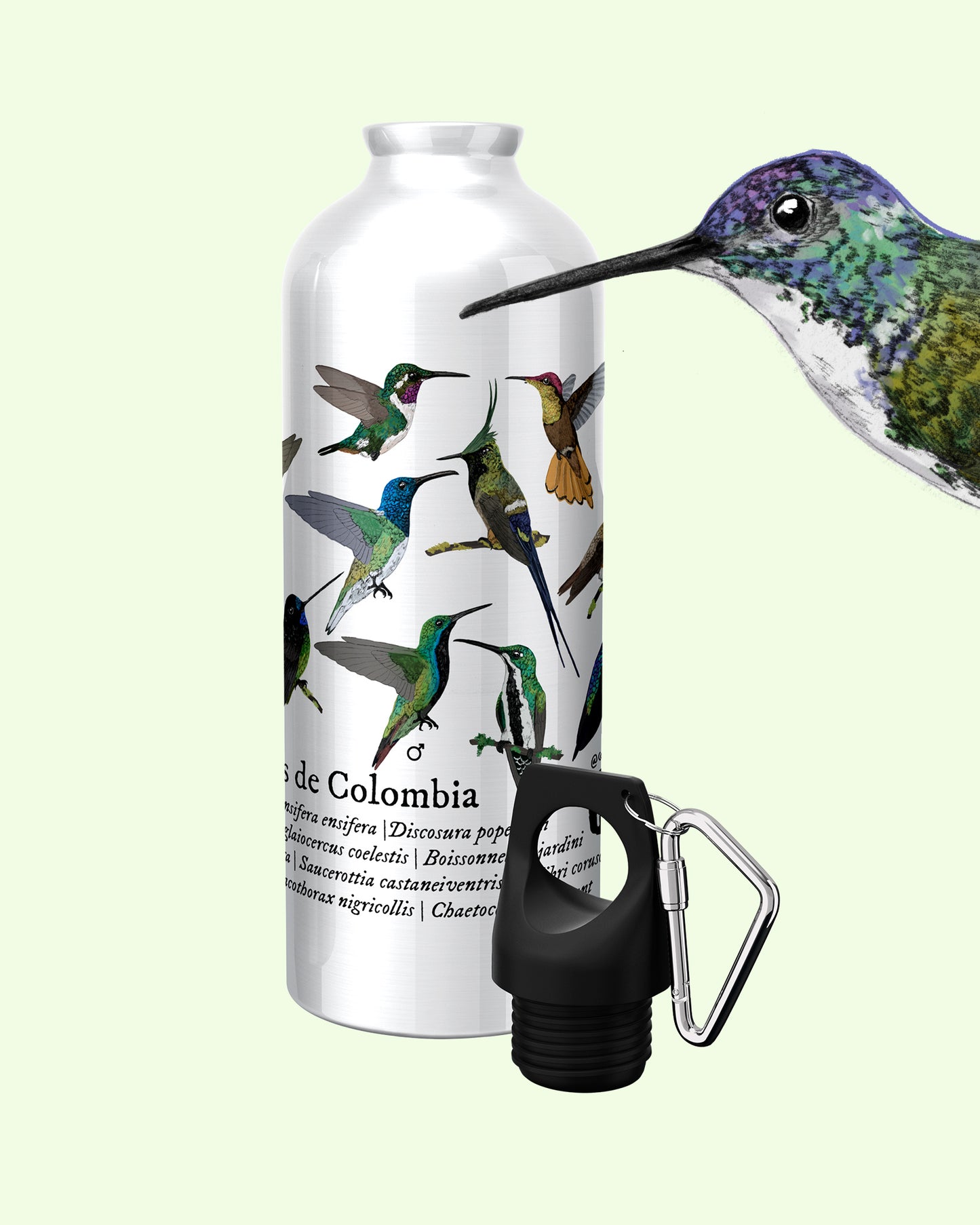 Botella Colibríes de Colombia