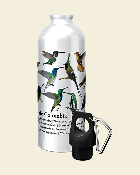 tienda-web-botella-colibries