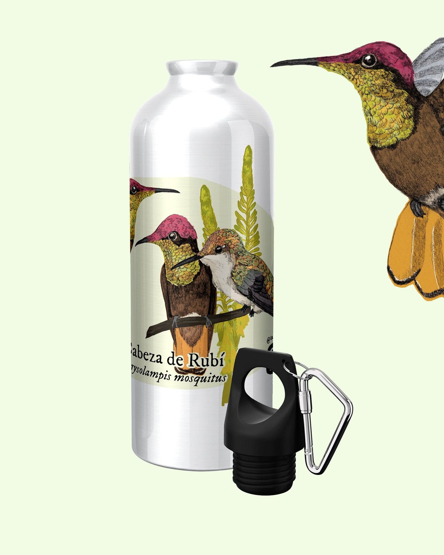 Botella Colibrí Cabeza de Rubí
