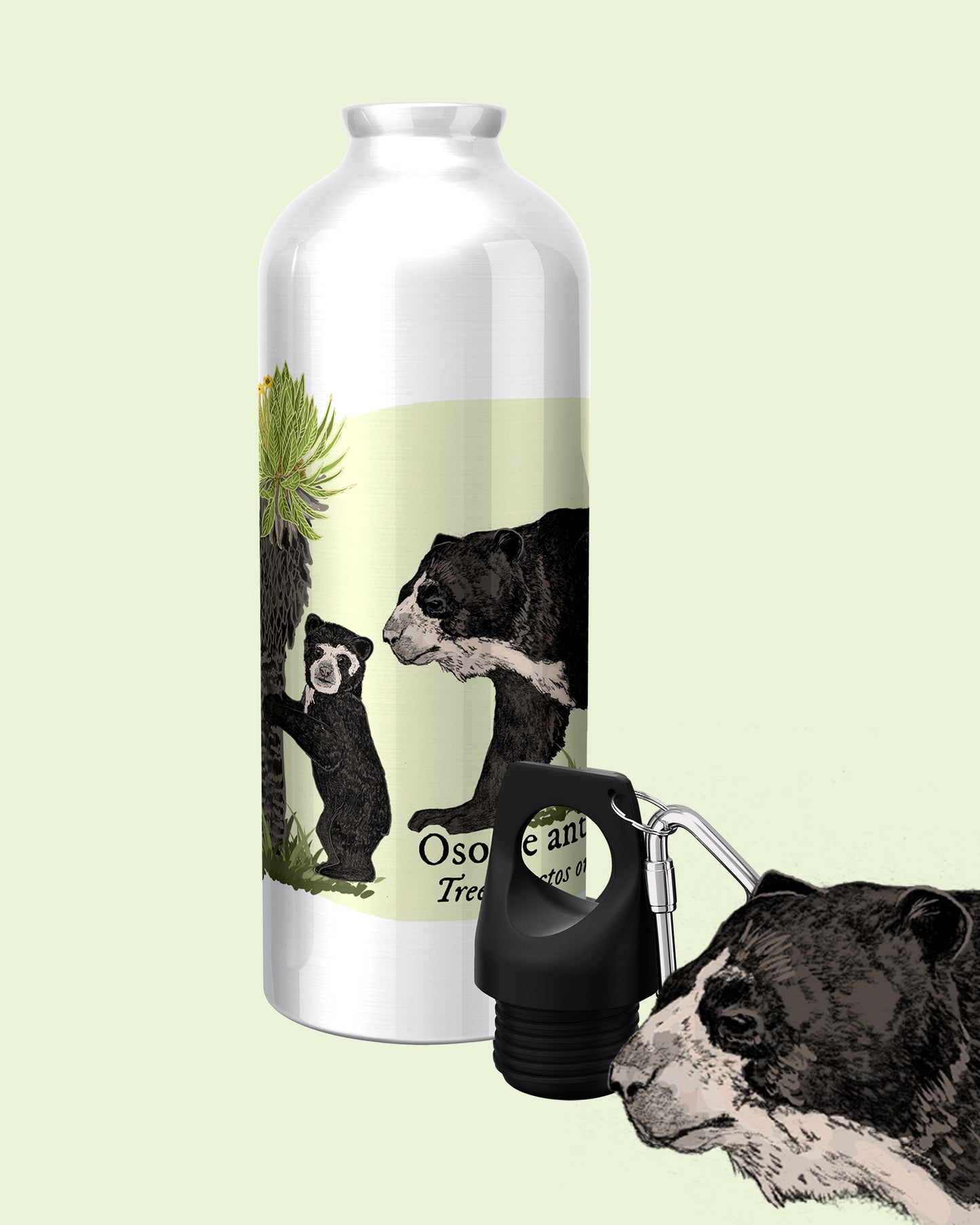 Botella Oso de Anteojos
