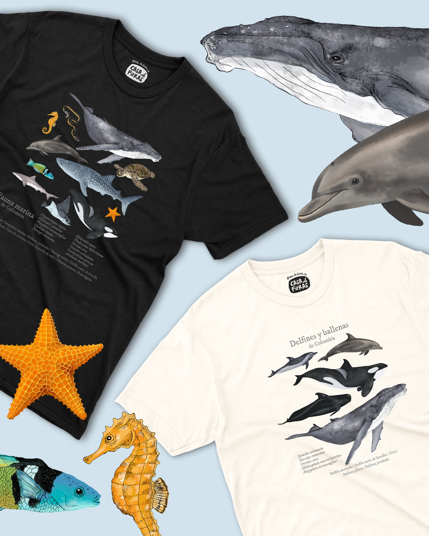 Camiseta Fauna marina de Colombia