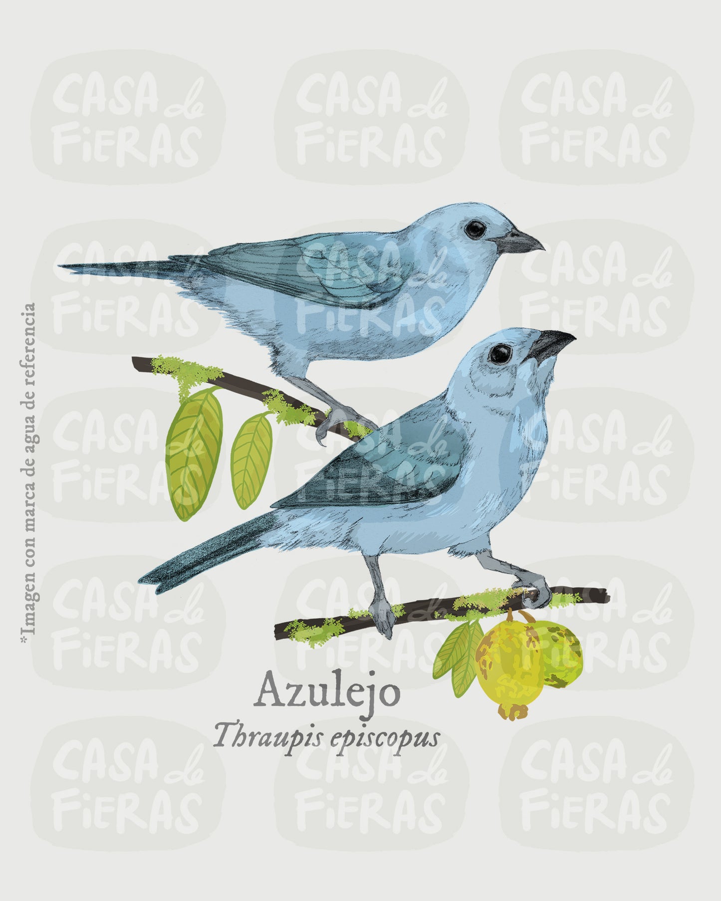 Camiseta Azulejo