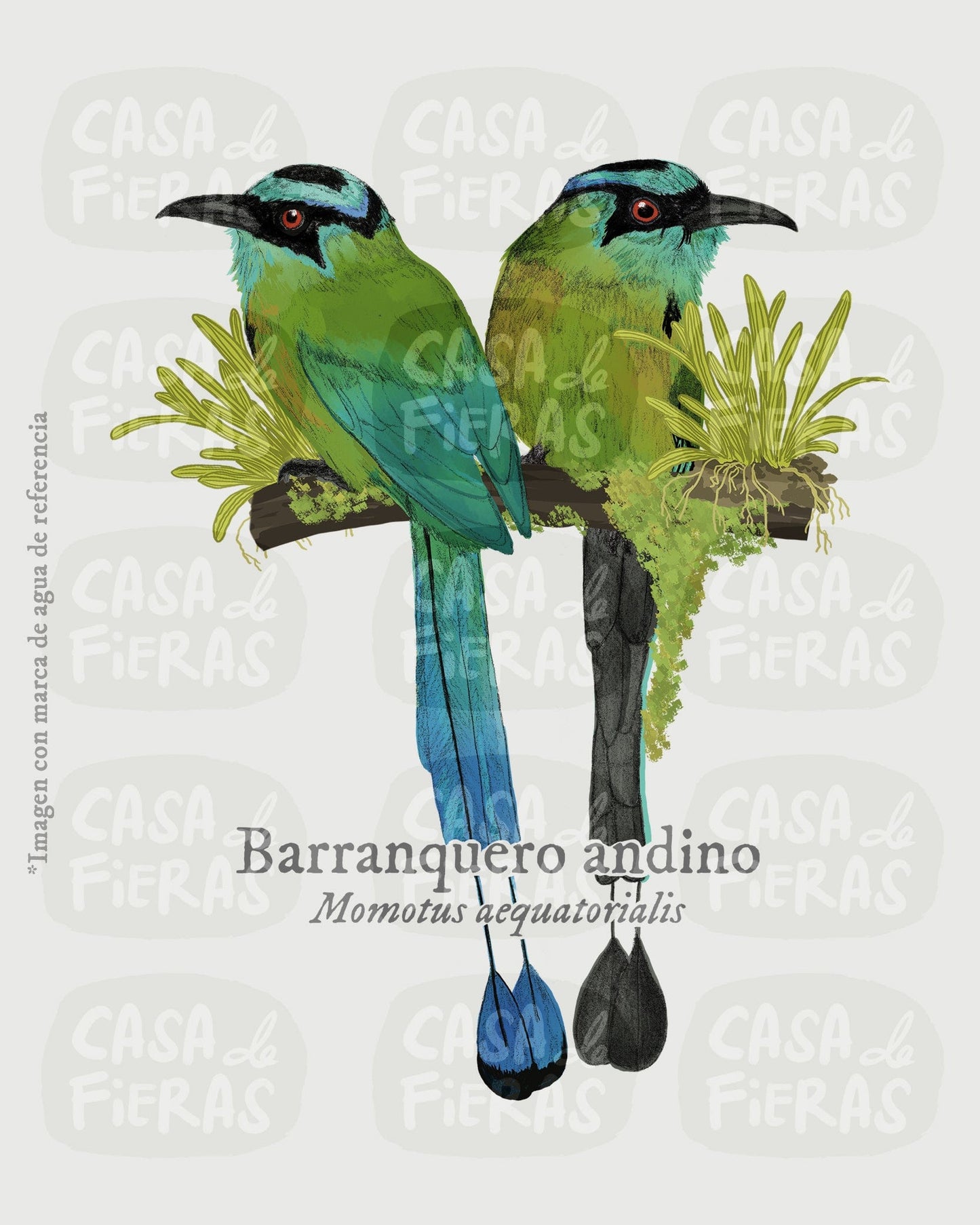 Camiseta Barranquero