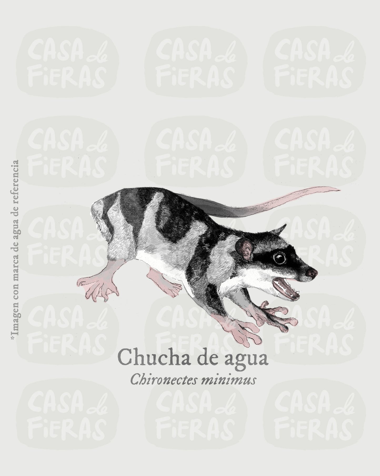 Camiseta Chucha de agua