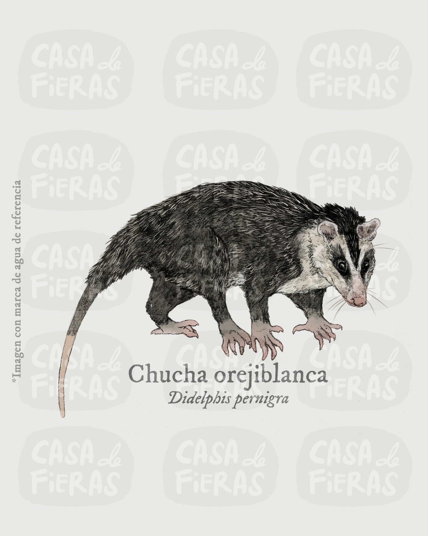 Camiseta Chucha orejiblanca