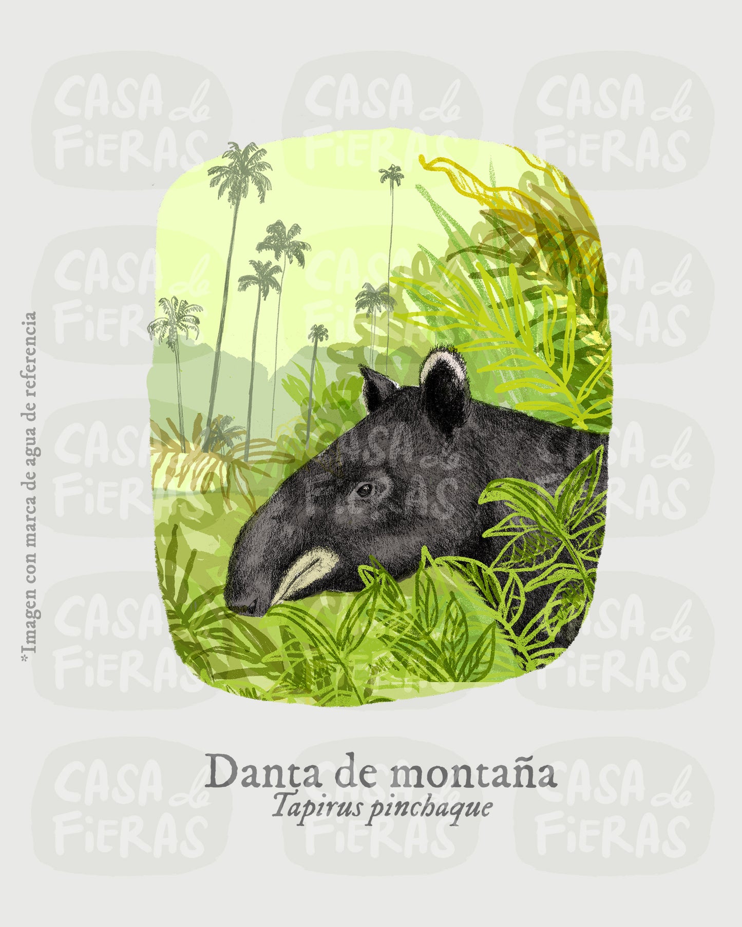 Camiseta Danta de montaña