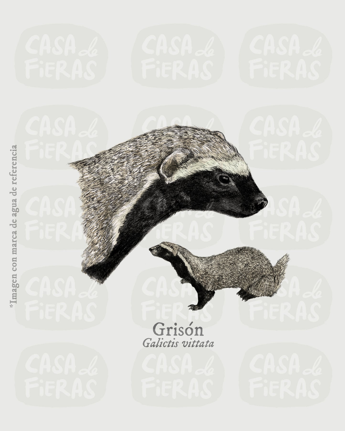 Camiseta Grisón