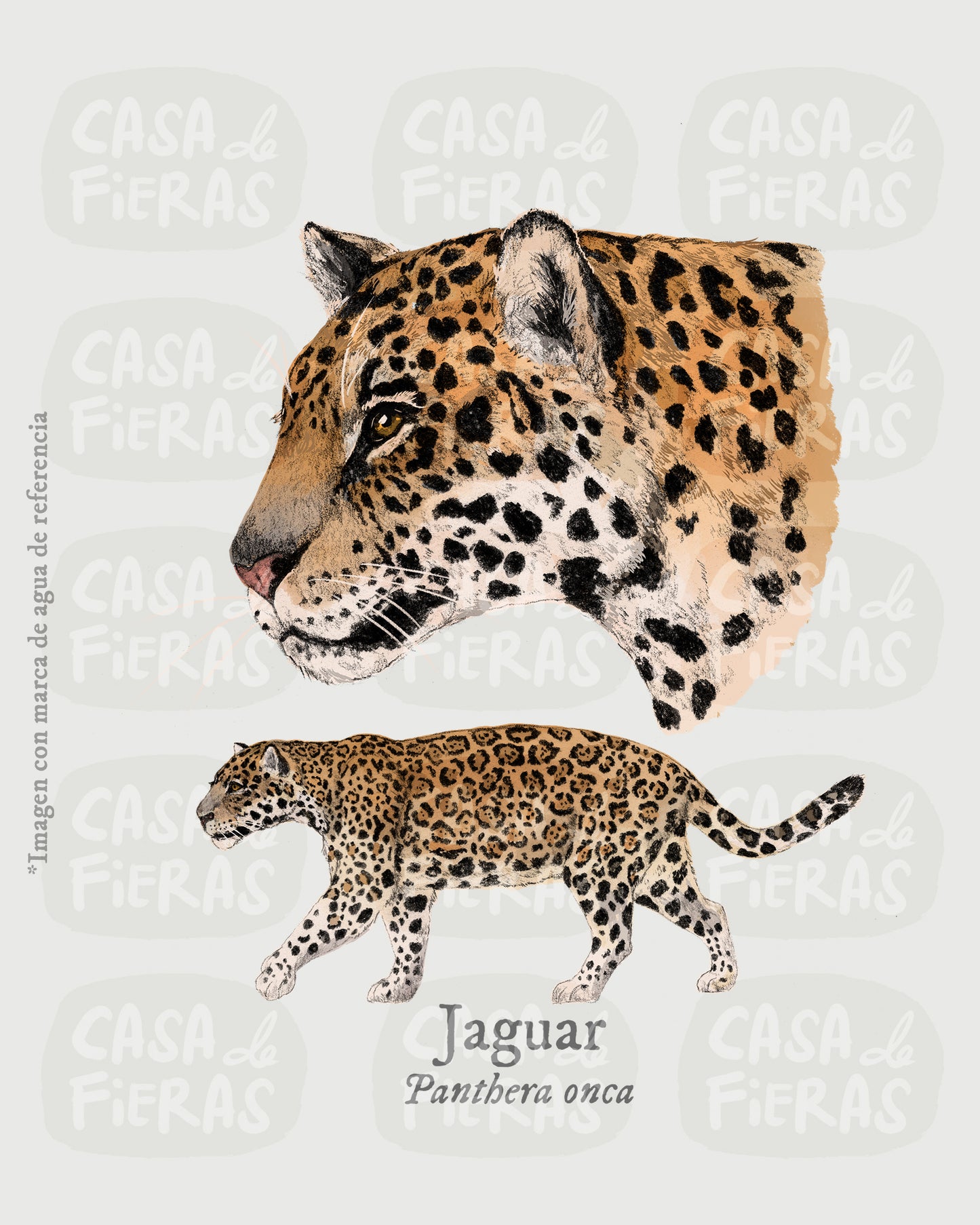 Camiseta Jaguar