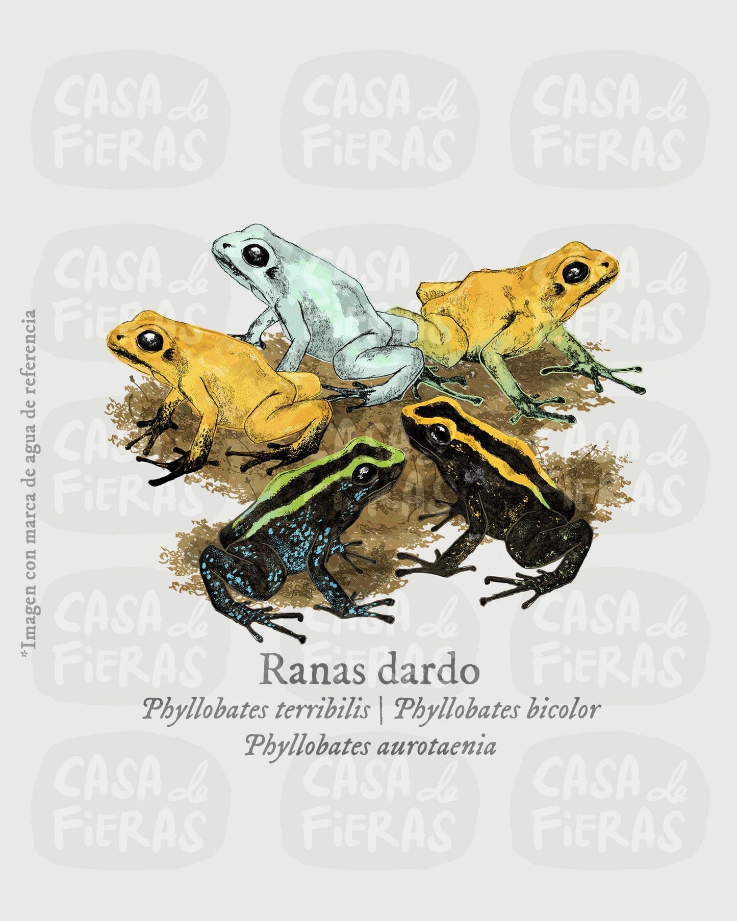 Camiseta Ranas dardo