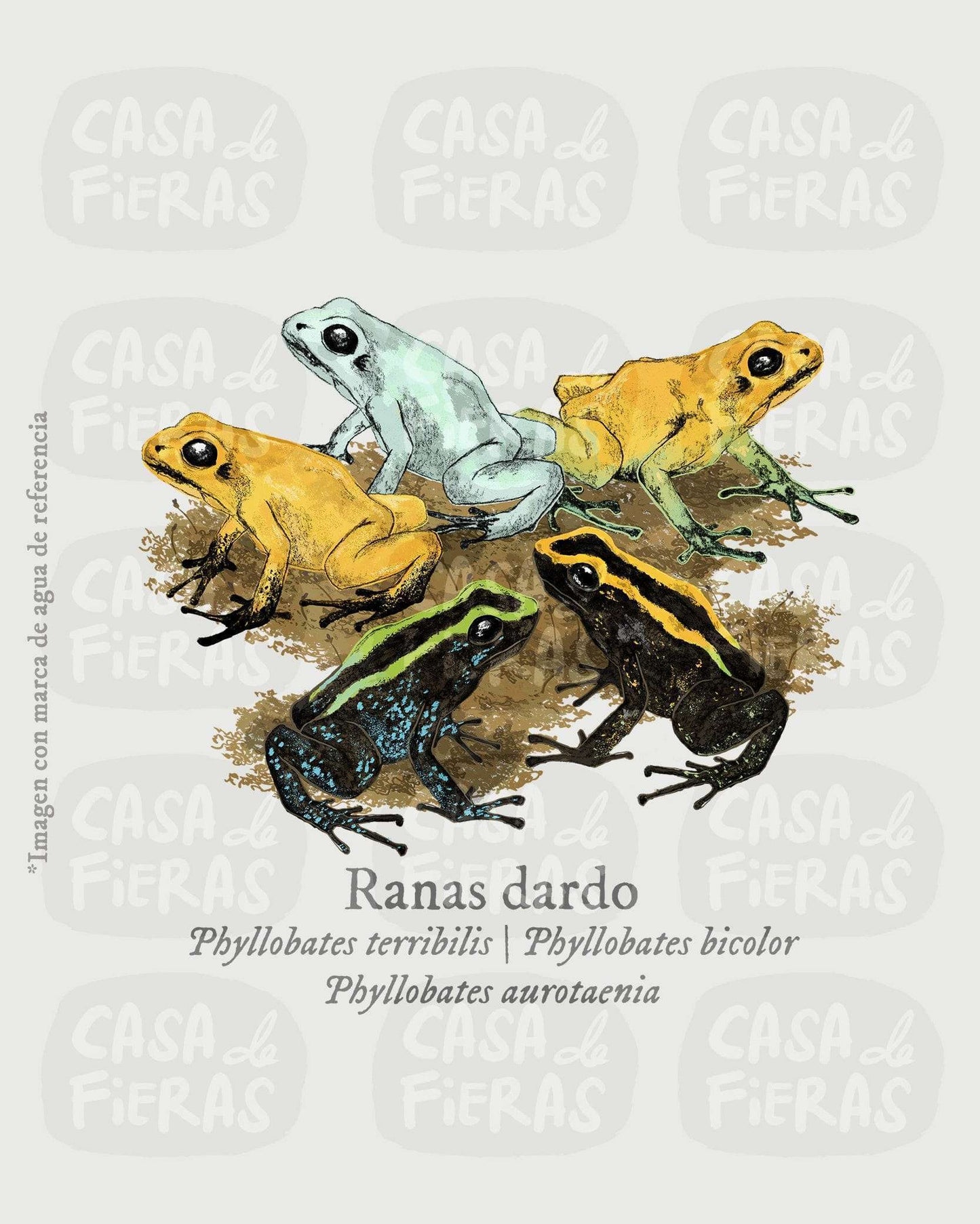 Camiseta Ranas dardo | Casa de Fieras