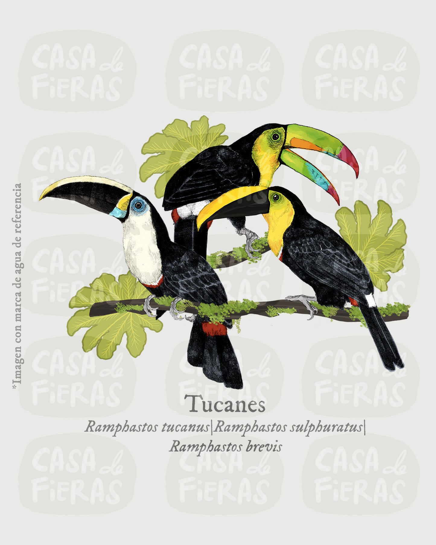Camiseta Tucanes