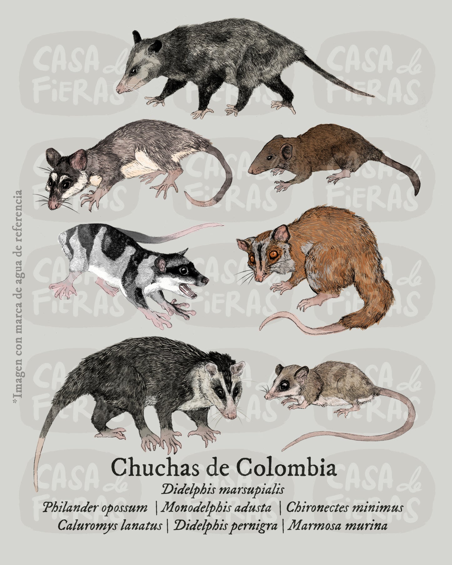 Tote Bag negra Chuchas de Colombia