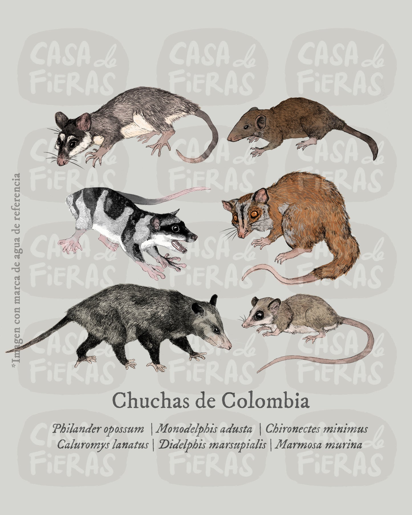 Camiseta Chuchas de Colombia