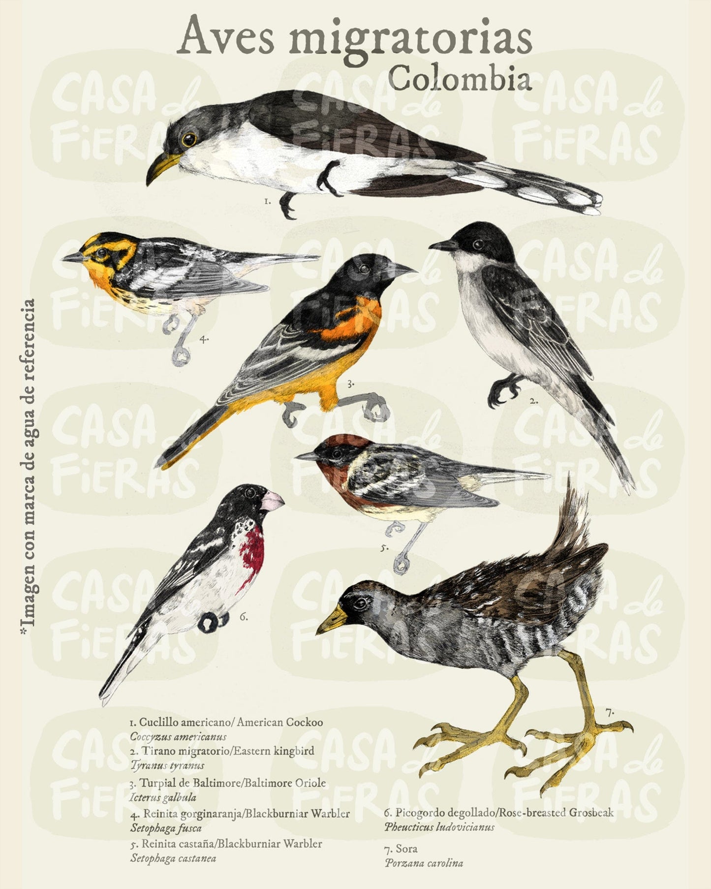 Camiseta Aves migratorias