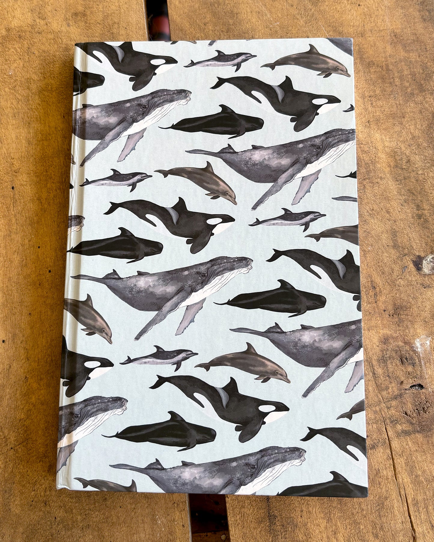 Libreta Delfines y Ballenas