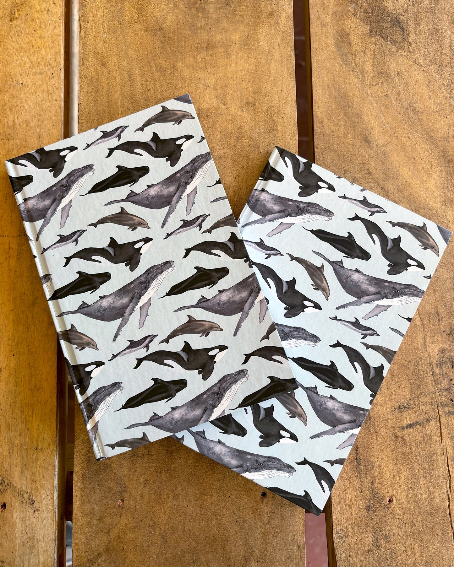 Libreta Delfines y Ballenas