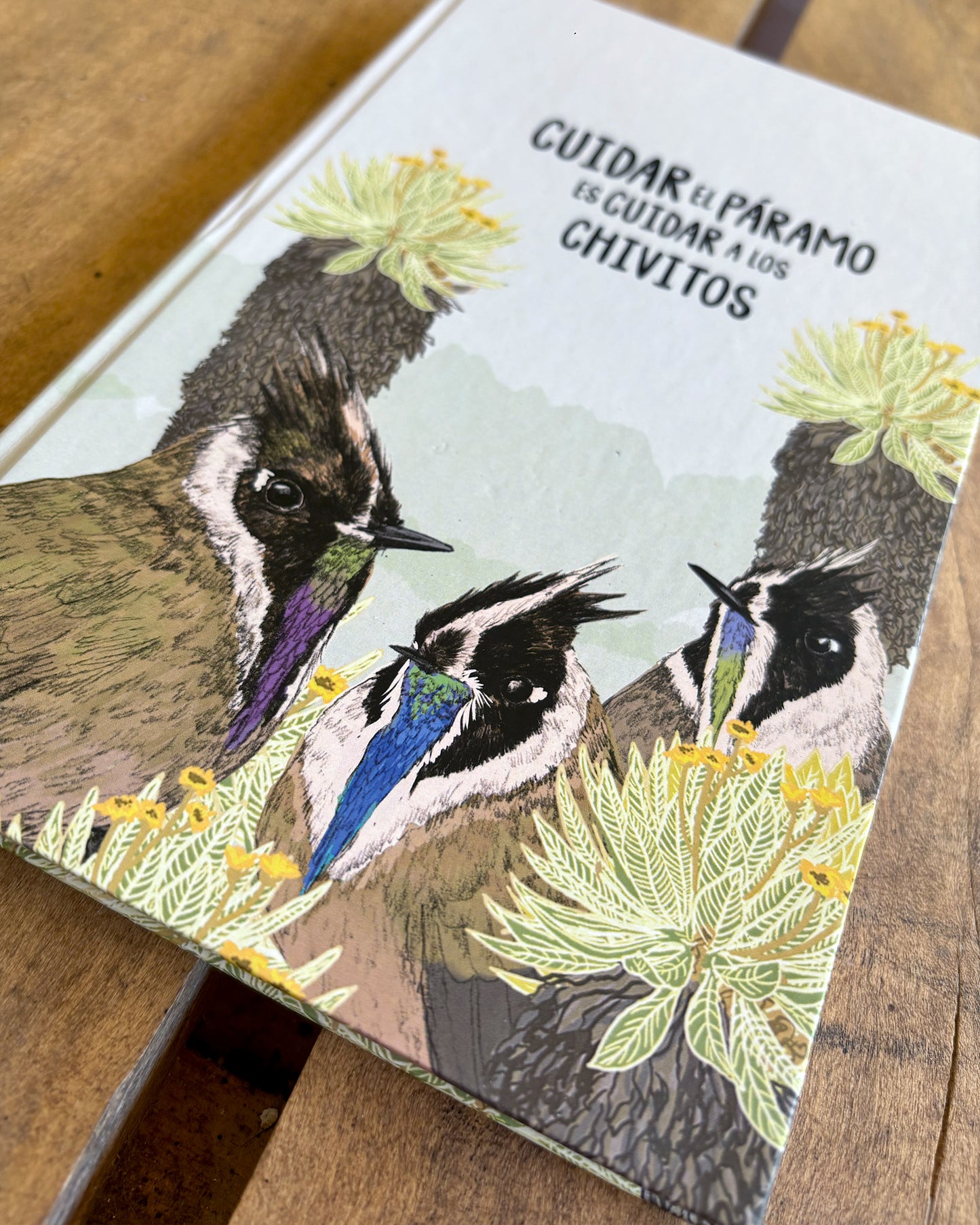 Libreta Chivitos de Páramo