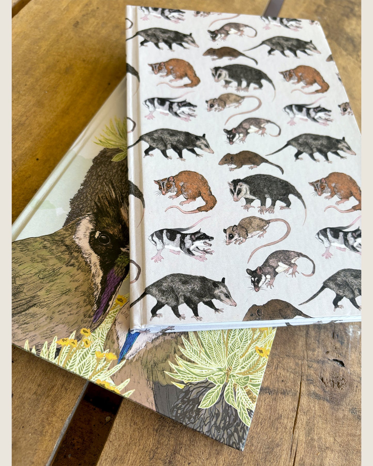 Libreta Chuchas