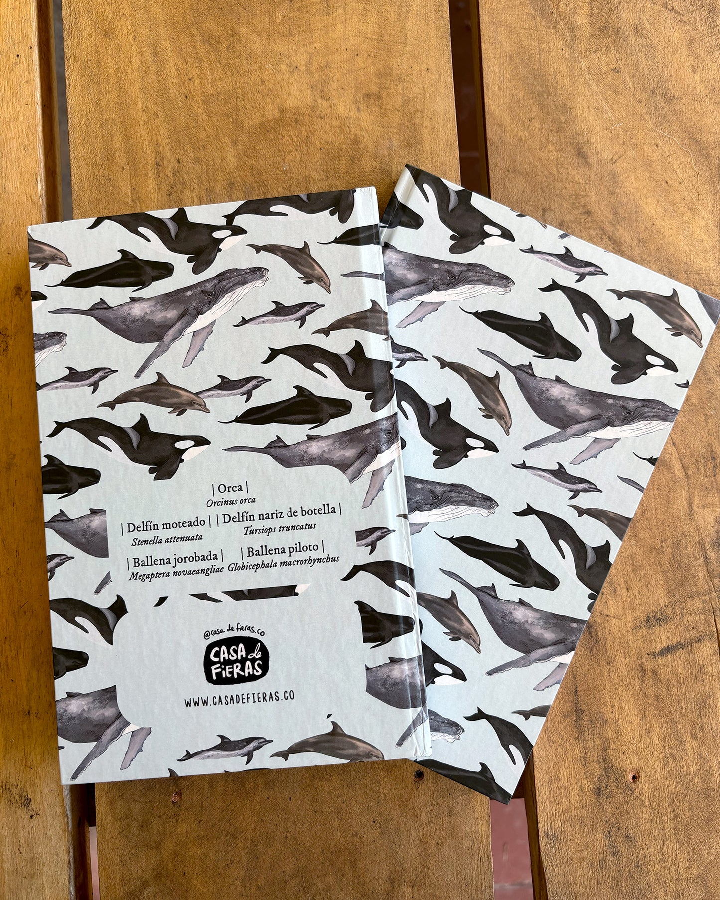 Libreta Delfines y Ballenas