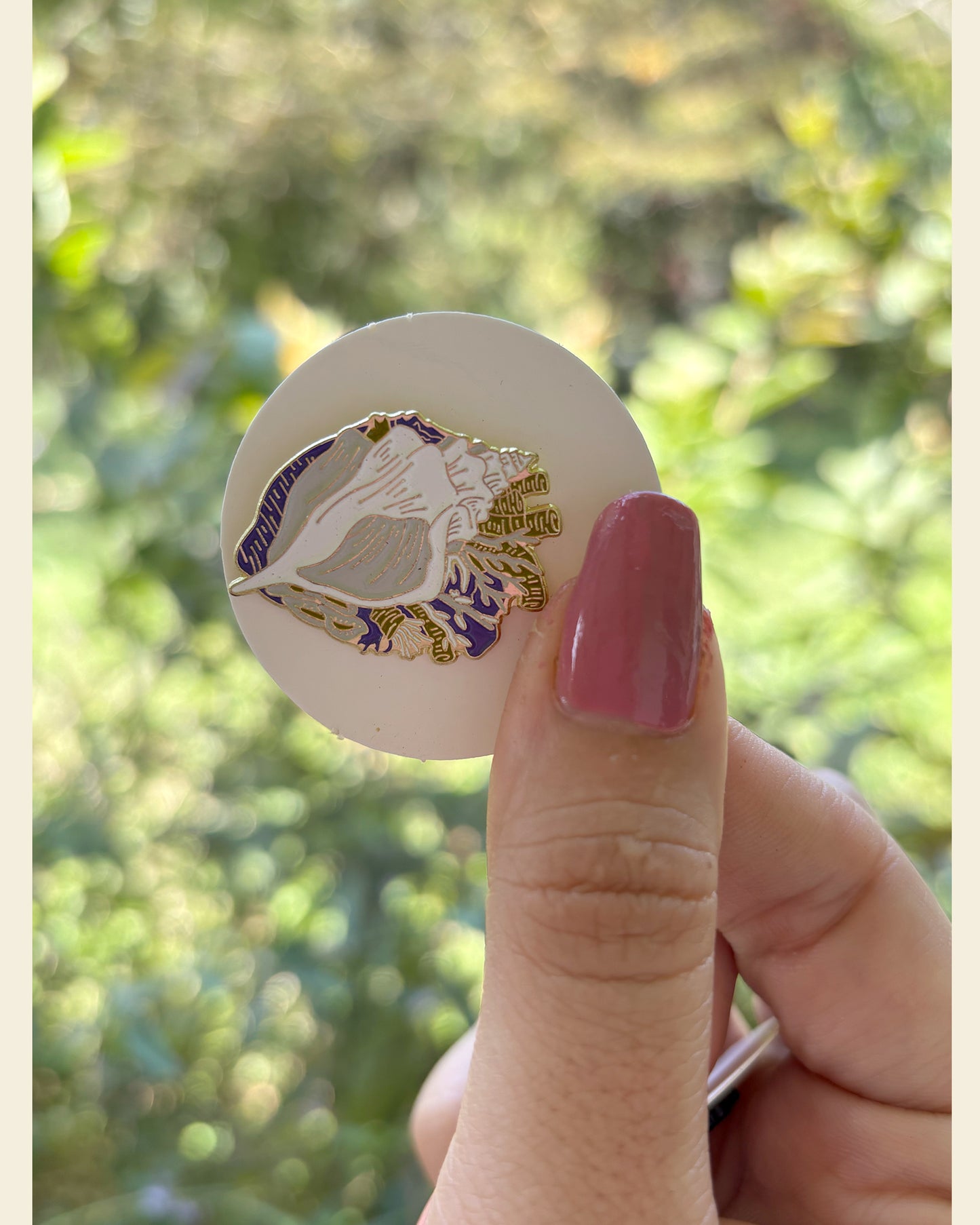Pin Arrecife