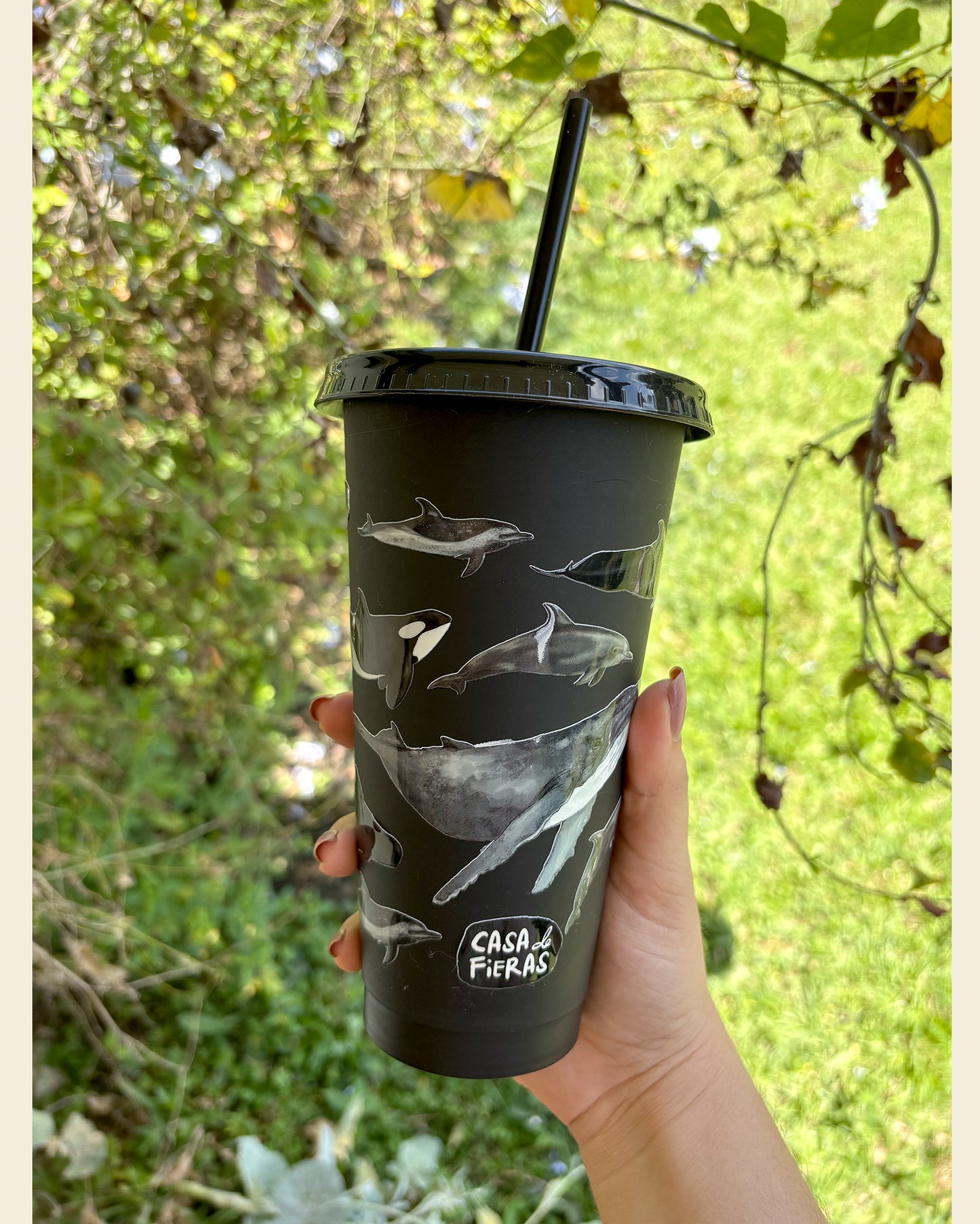 Vaso pitillo Delfines y Ballenas de Colombia