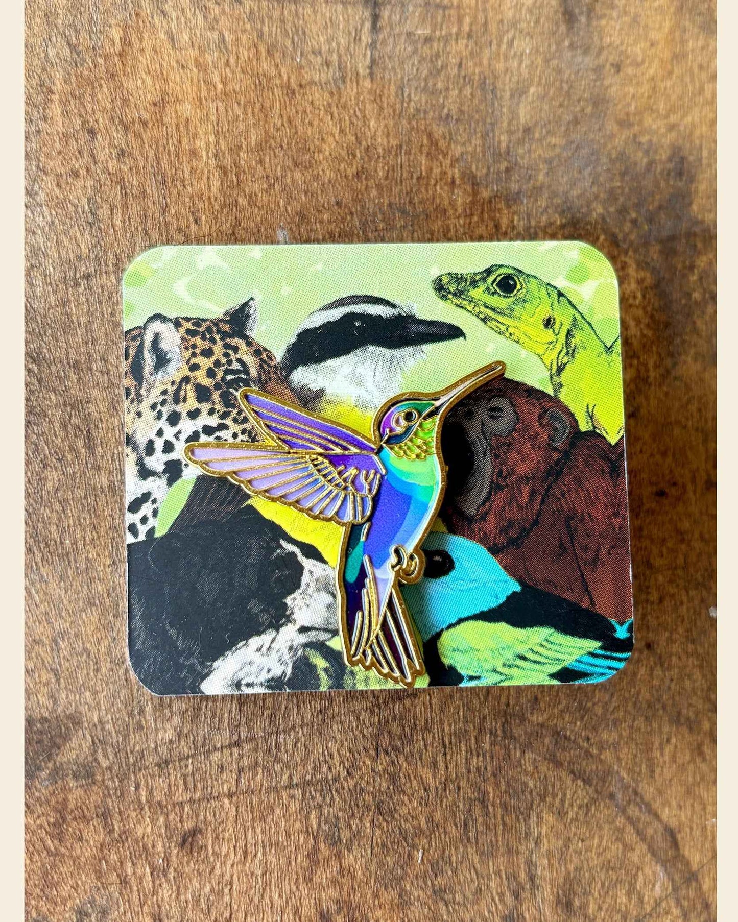 Pin Colibrí Siete Garganta Rubí