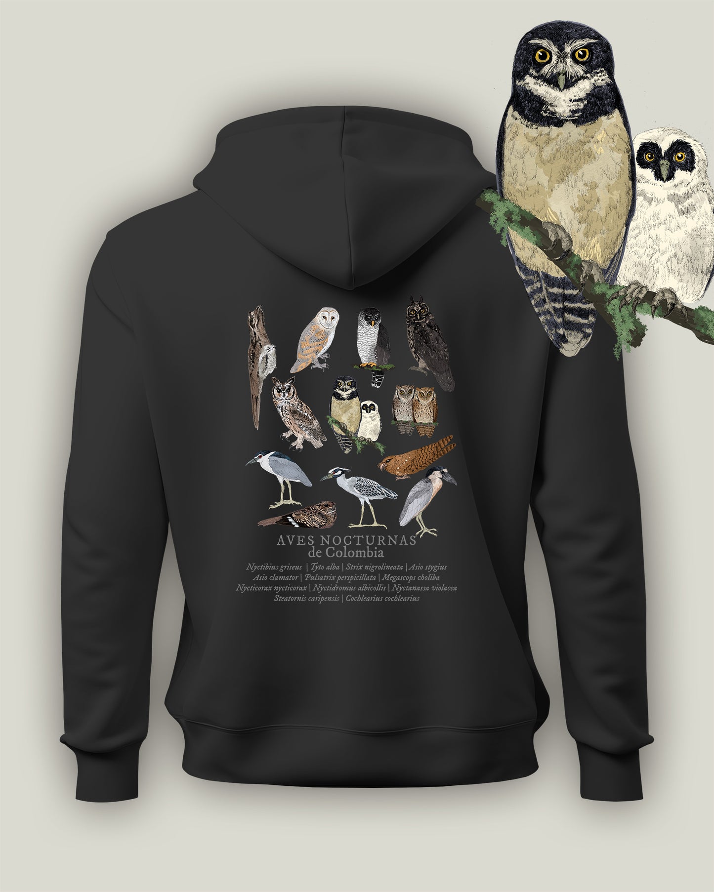 Hoodie Aves nocturnas de Colombia