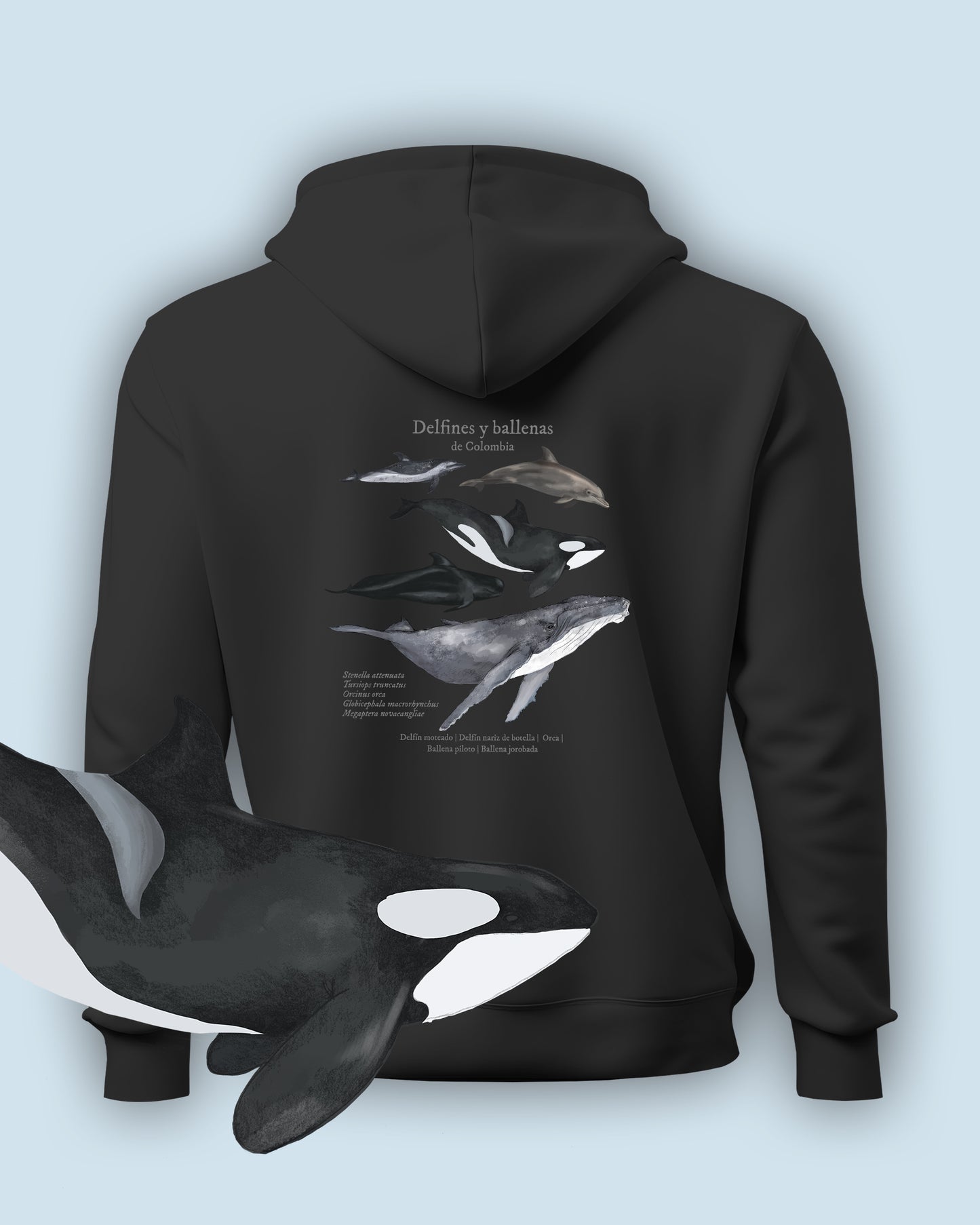 Hoodie Delfines y ballenas de Colombia