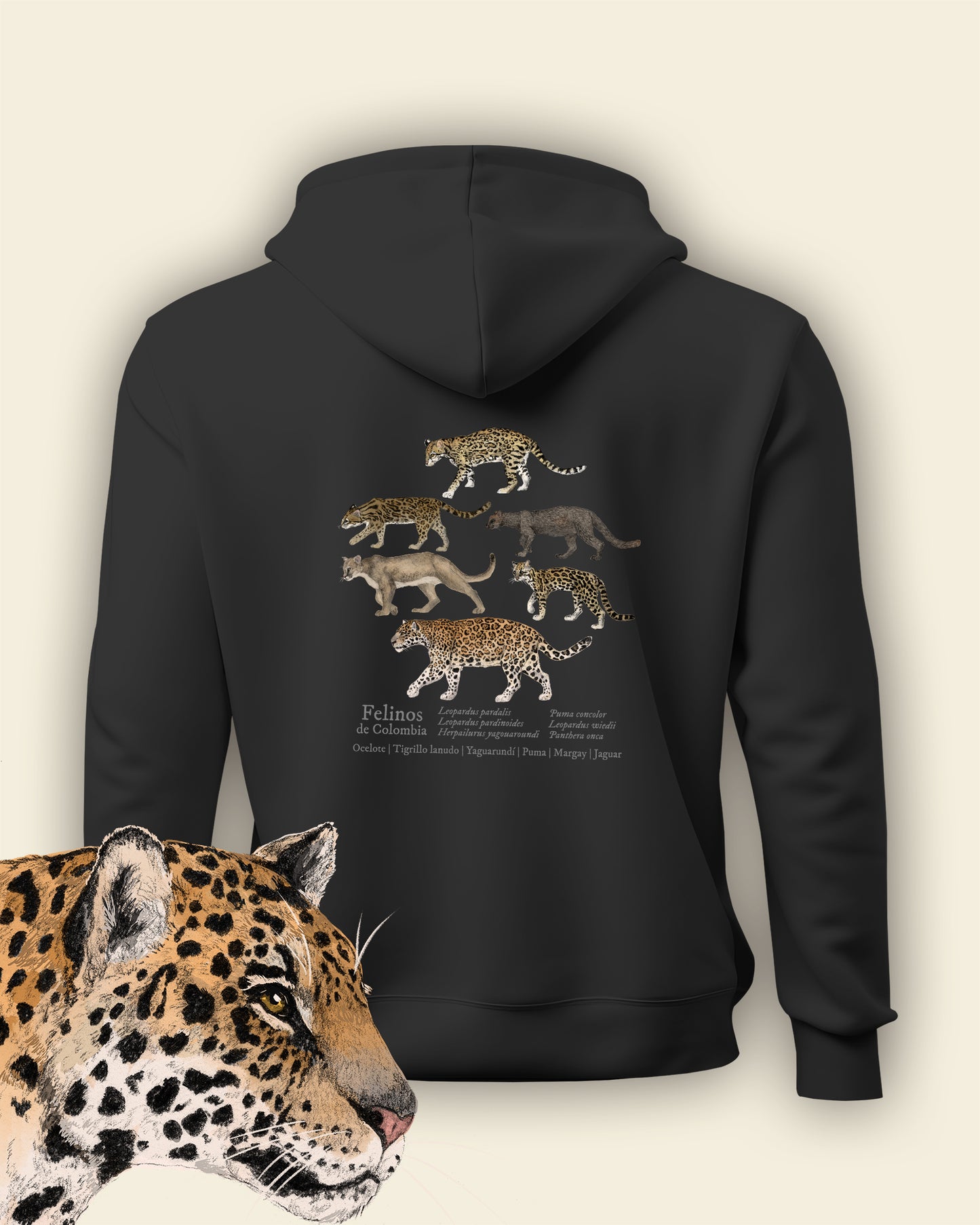 Hoodie Felinos de Colombia