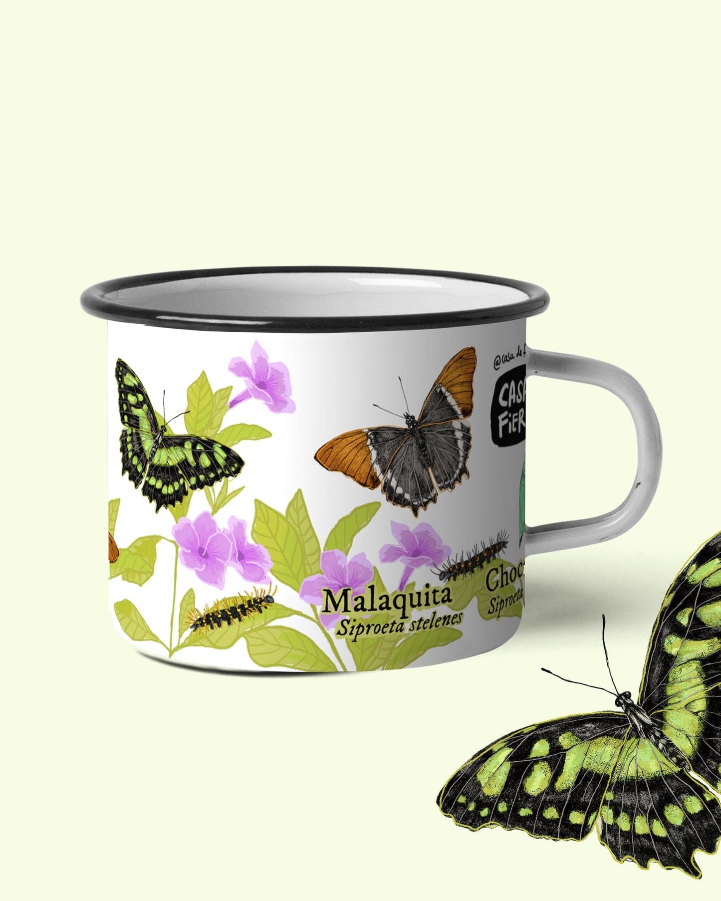 Mug de peltre Mariposas Siproeta