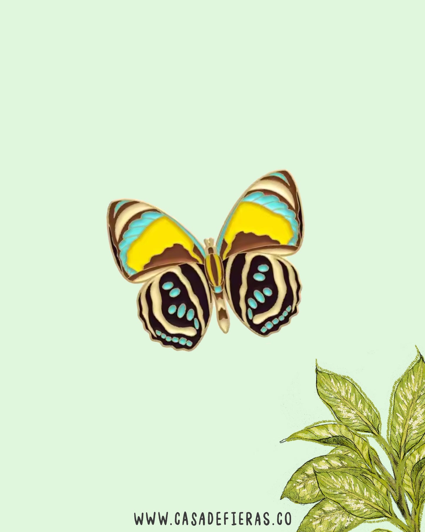 Pin Mariposa Callicore