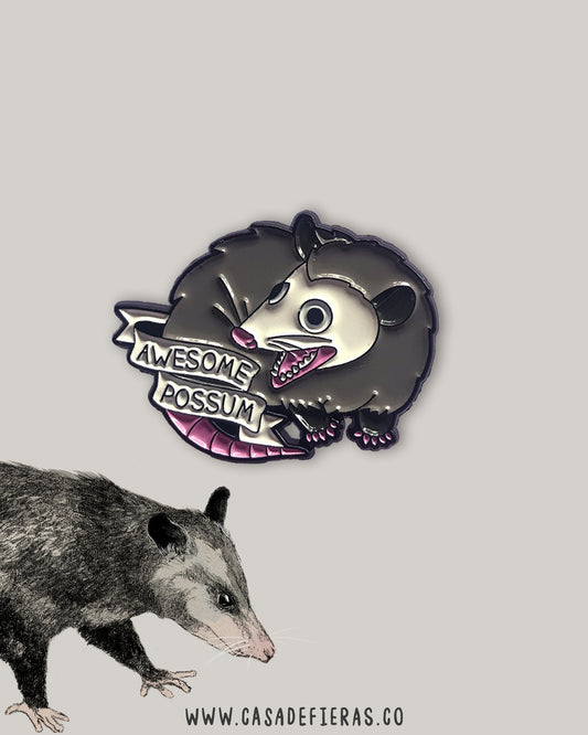 Pin Chucha Awesome Possum