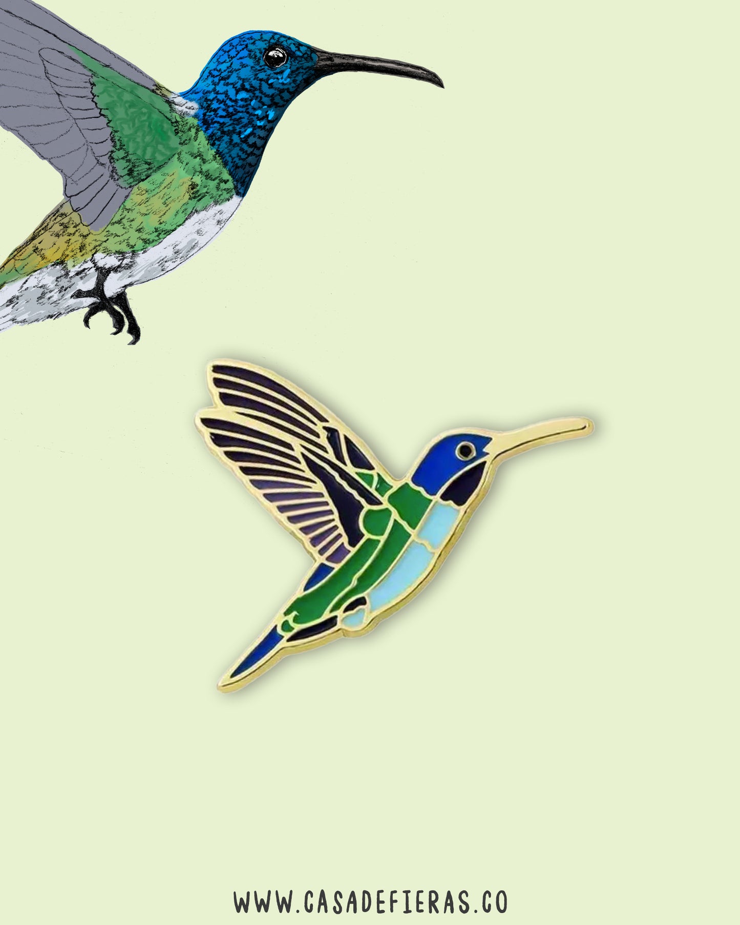 Pin Colibrí nuquiblanco