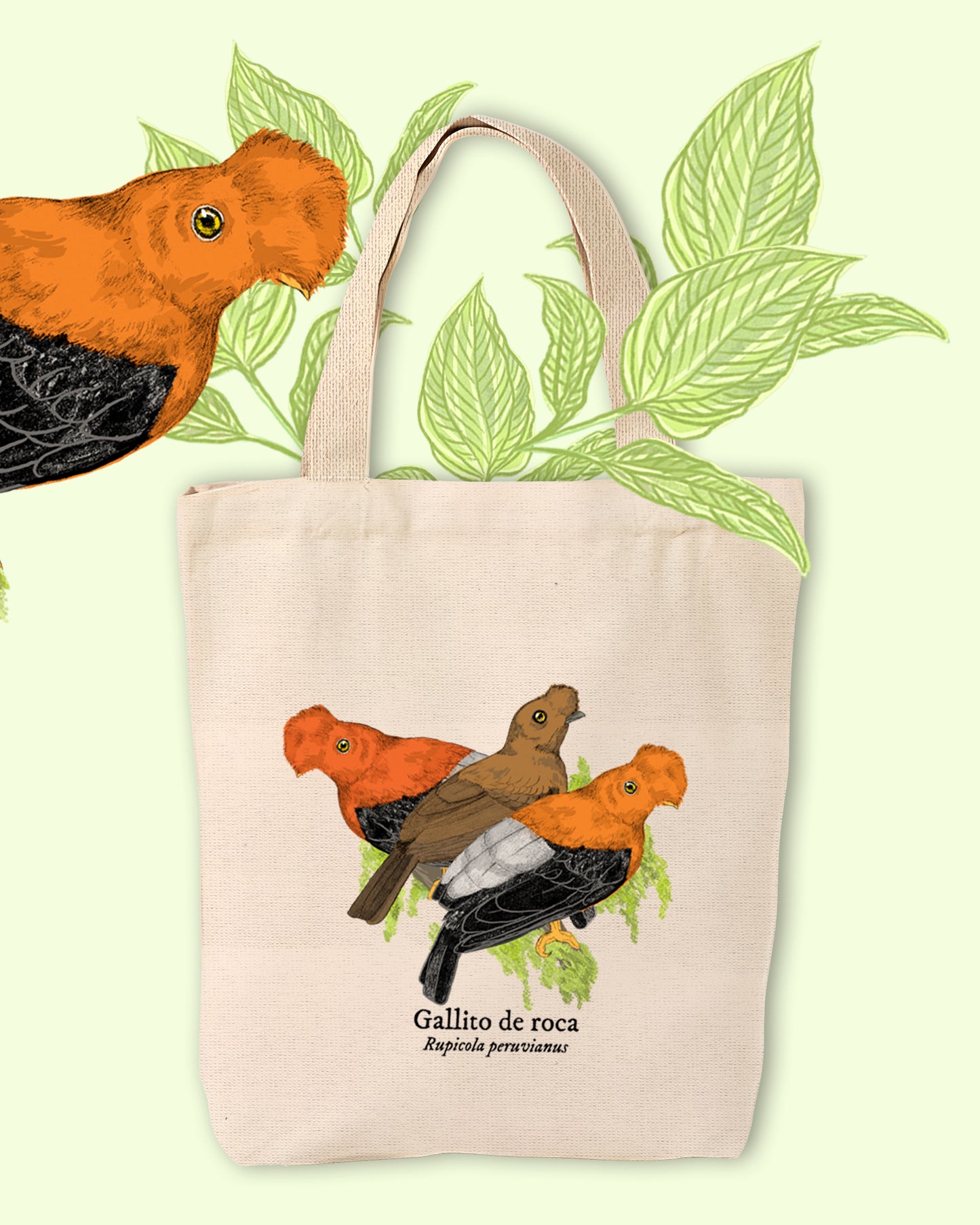 Tote Bag Gallito de roca