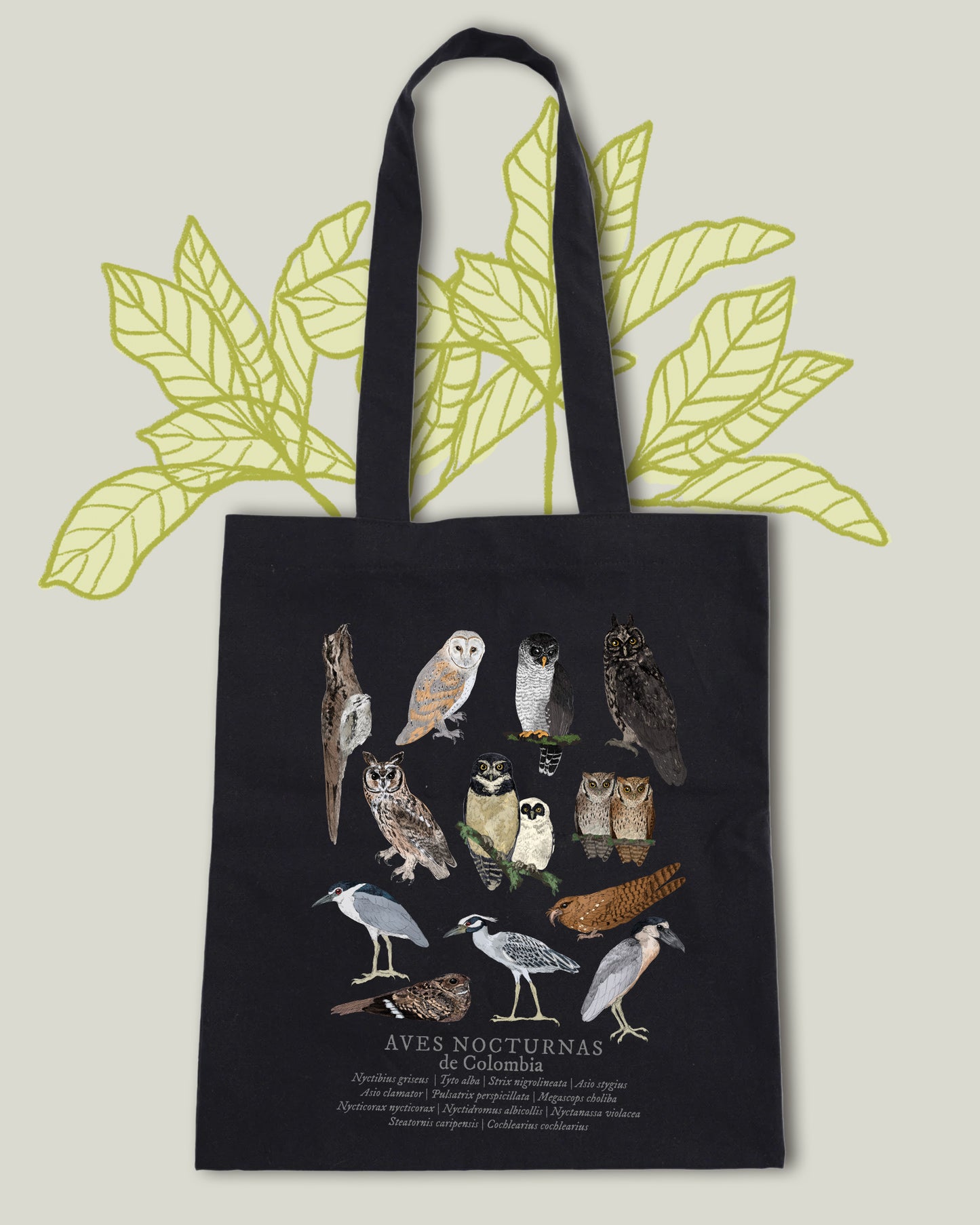Tote Bag negra Aves Nocturnas de Colombia