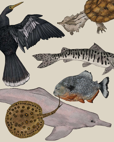 Fauna de Río | Casa de Fieras