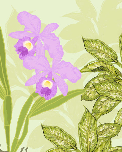 Plantas y hongos | Casa de Fieras