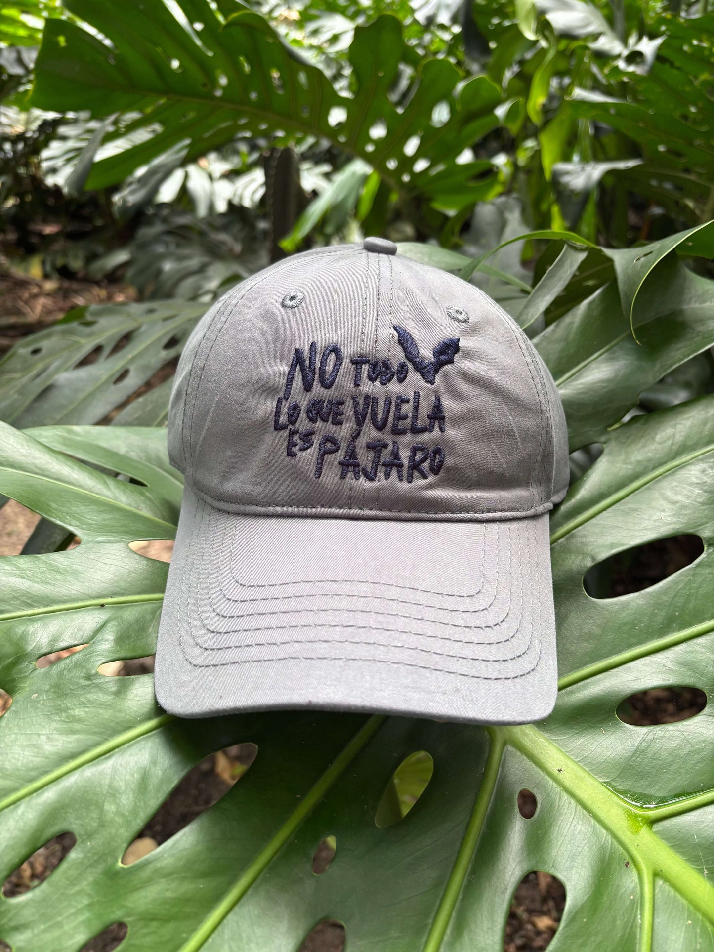 Gorra No Todo Lo Que Vuela Es Pájaro | Chiroptera | Murciélagos Casa de Fieras