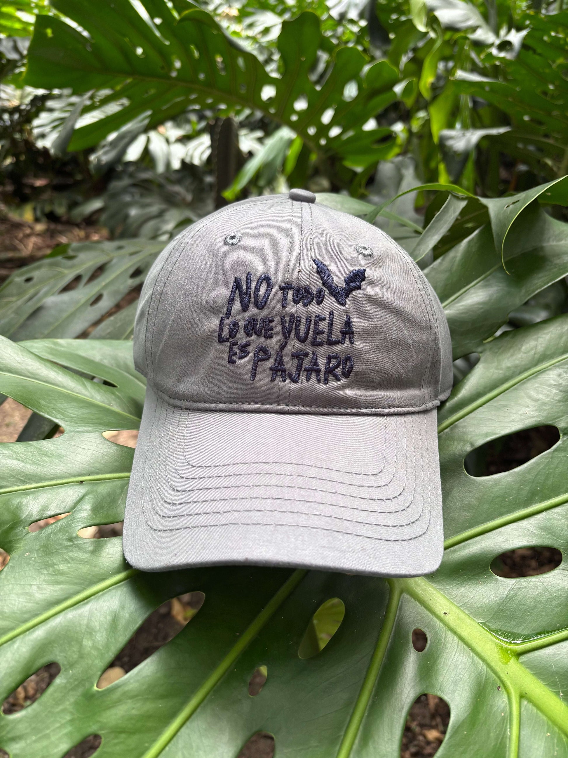 Gorra No Todo Lo Que Vuela Es Pájaro | Chiroptera | Murciélagos Casa de Fieras