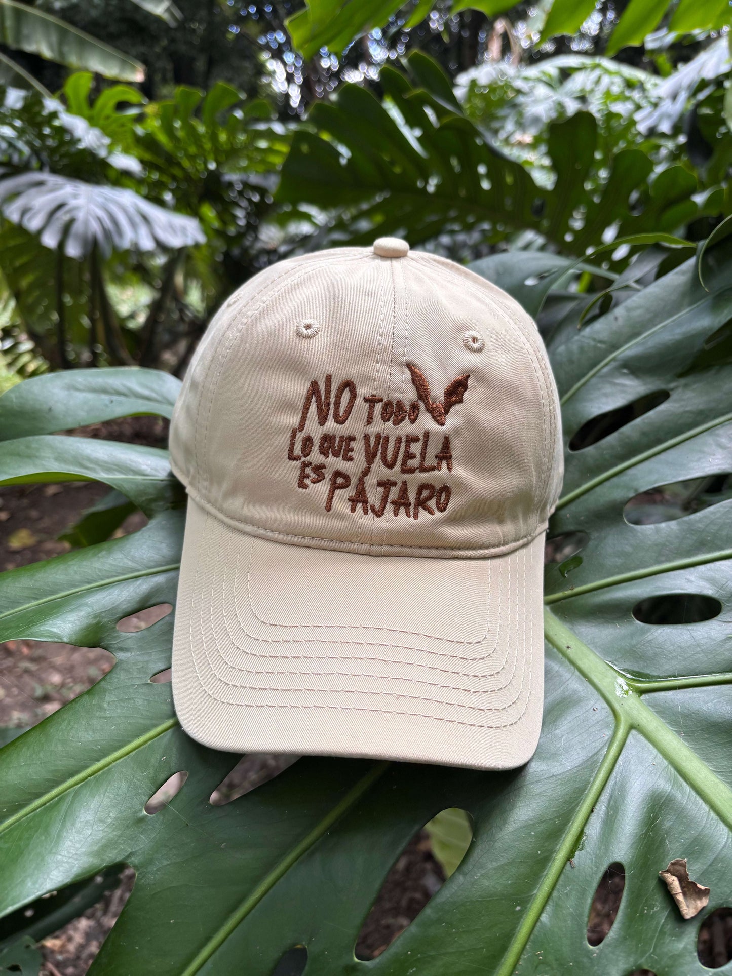 Gorra No Todo Lo Que Vuela Es Pájaro | Chiroptera | Murciélagos Casa de Fieras