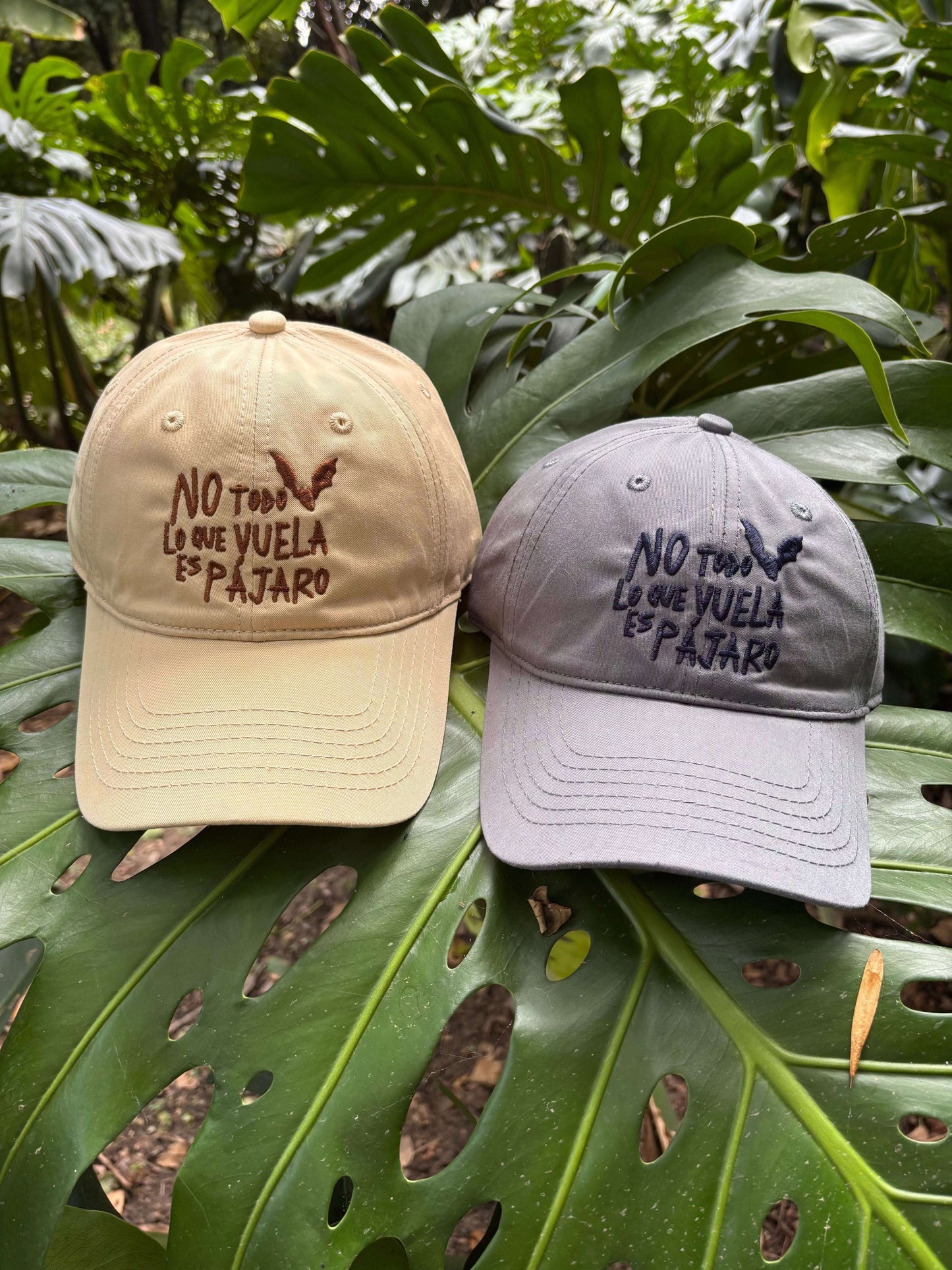 Gorra No Todo Lo Que Vuela Es Pájaro | Chiroptera | Murciélagos Casa de Fieras