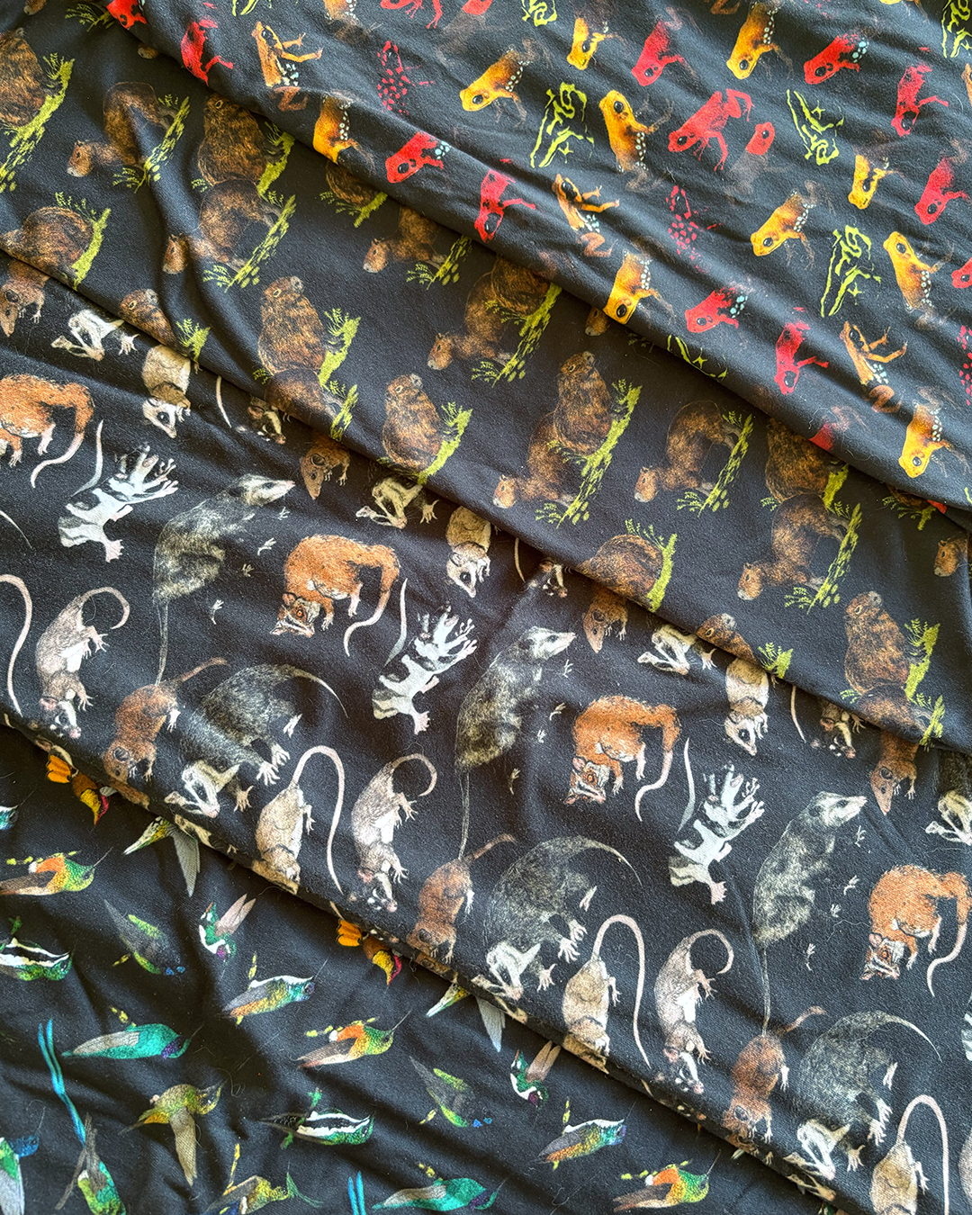 Buff para niños EDICIÓN LIMITADA