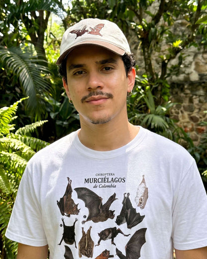 Gorra Bicolor Chiroptera - Murciélagos Casa de Fieras
