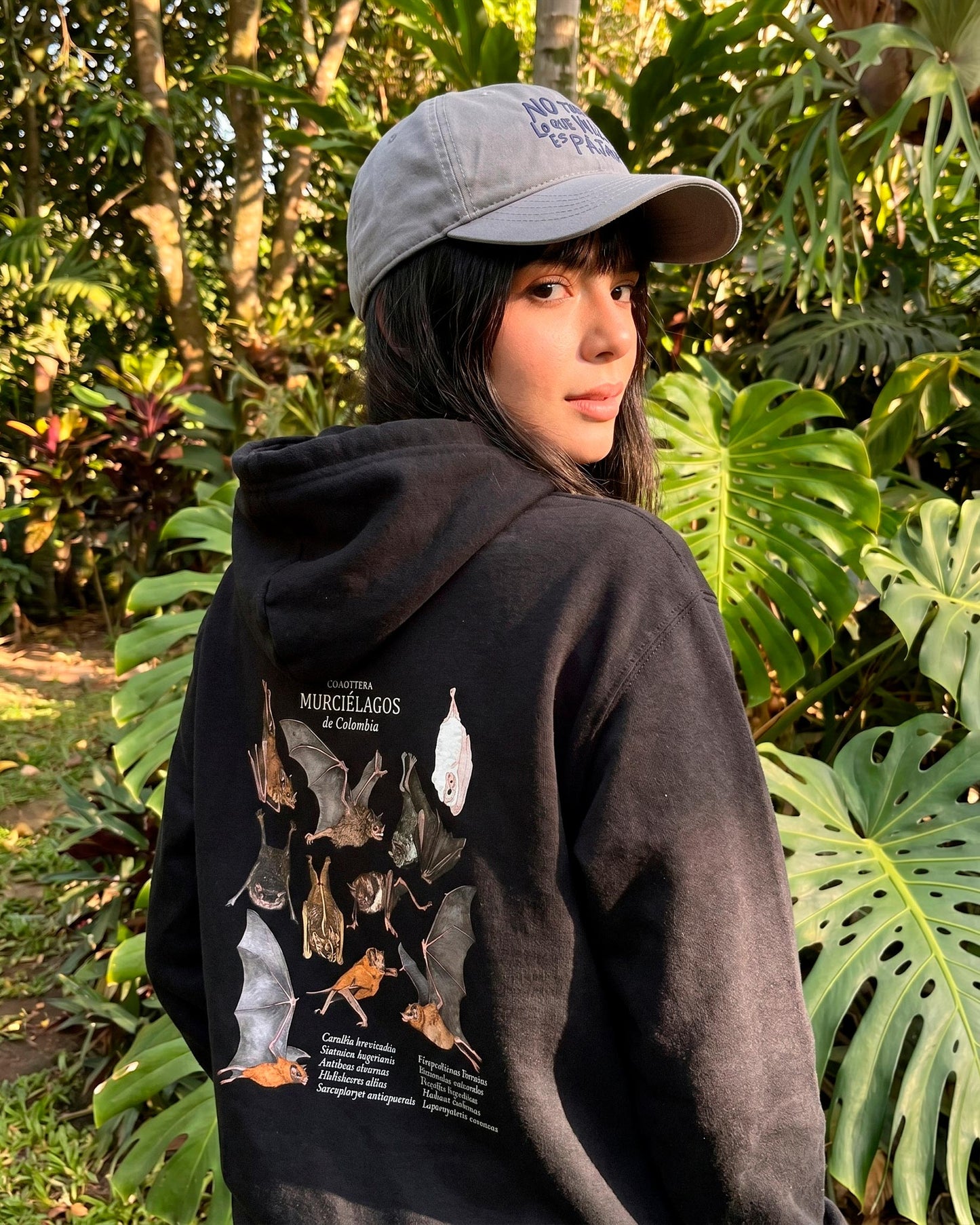 Hoodie Murciélagos de Colombia |  Buzo con capucha y bolsillo frontal