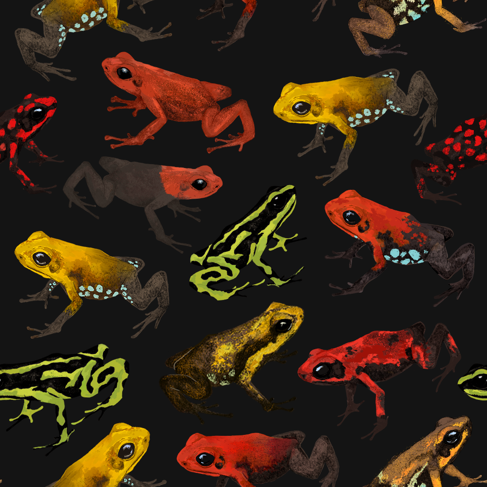 Buff para niños EDICIÓN LIMITADA