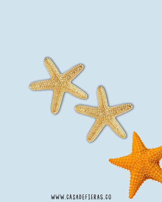 Aretes Estrella de mar