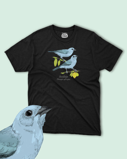 Camiseta Azulejo