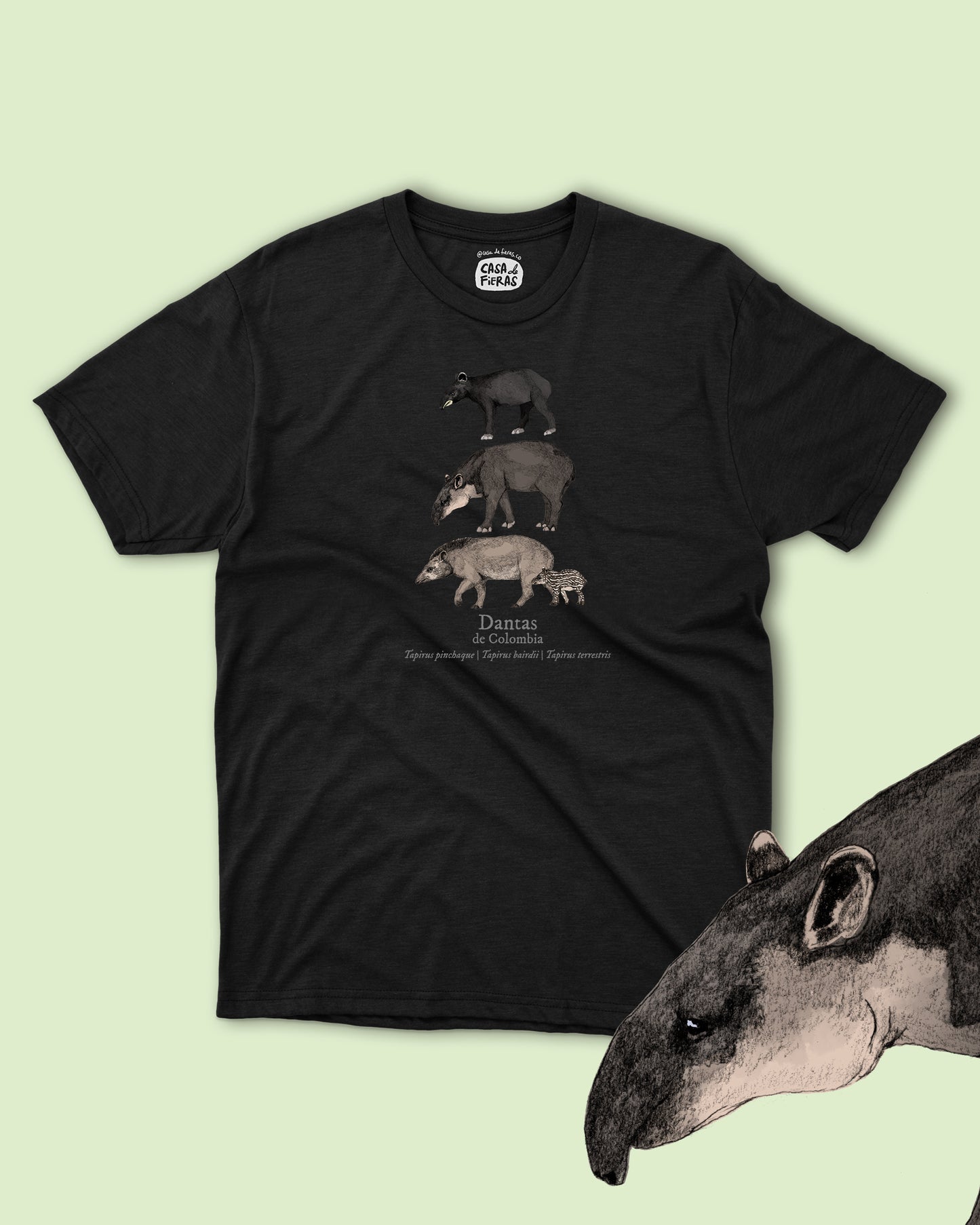 Camiseta Dantas de Colombia