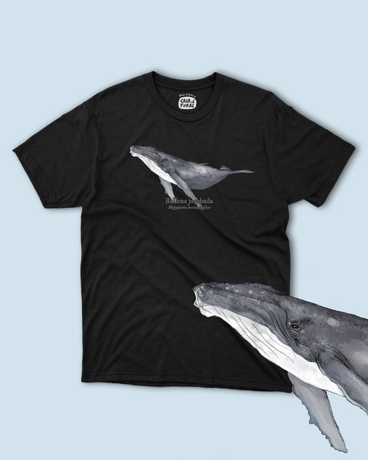 Camiseta Ballena jorobada